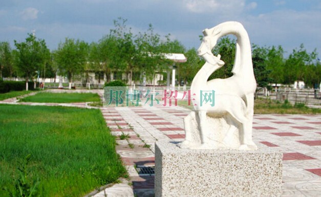 大慶醫(yī)學高等?？茖W校