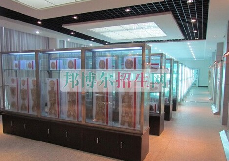 益陽(yáng)醫(yī)學(xué)高等?？茖W(xué)校