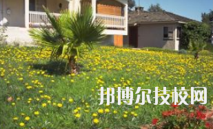 同學(xué)們需要依據(jù)自己所了解的情況來(lái)選擇學(xué)校，那么這也決定看同學(xué)們需要去了解這些學(xué)校的招生簡(jiǎn)章，以便可以清楚的了解學(xué)校信息。下面就由小編給同學(xué)們介紹的有關(guān)于蘭州園藝學(xué)校招生簡(jiǎn)章以及相關(guān)情況，以供大家參考了解。  蘭州園藝學(xué)校層次：中專  蘭州園藝學(xué)校性質(zhì)：公辦  蘭州園藝學(xué)校地址：蘭州市西固區(qū)范家坪  蘭州園藝學(xué)校介紹 蘭州園藝學(xué)校是全省唯一一所園藝、設(shè)施園藝、園林花卉、生態(tài)環(huán)境保護(hù)、建筑裝飾、旅游服務(wù)管理、計(jì)算機(jī)網(wǎng)絡(luò)技術(shù)、古建筑油漆彩畫(huà)等專業(yè)為一體的國(guó)辦全日制普通中等專業(yè)學(xué)校。  學(xué)校地處全省政治經(jīng)濟(jì)文化中心蘭州市,占地面積8萬(wàn)平方米。有各類(lèi)教學(xué)實(shí)驗(yàn)室14個(gè)，擁有圖書(shū)館、閱覽室、組培室、微機(jī)室、語(yǔ)音室、電教室、校園網(wǎng)等各類(lèi)教學(xué)設(shè)施。校園環(huán)境幽靜、空氣清新、規(guī)劃科學(xué)、設(shè)計(jì)獨(dú)特。校園內(nèi)溫?zé)釒Щɑ芷贩N齊全，三季有花，四季常青，教學(xué)生活設(shè)施齊全，師資力量雄厚校風(fēng)優(yōu)良。學(xué)校在珠海、深圳、上海、昆明、蘭州和平牡丹園等地有多處實(shí)習(xí)基地。學(xué)校以獨(dú)特的專業(yè)設(shè)置，超長(zhǎng)的市場(chǎng)預(yù)測(cè)和嚴(yán)格的管理，為社會(huì)培養(yǎng)了大批實(shí)用型中等專業(yè)人才，畢業(yè)生就業(yè)面積廣，就業(yè)率高。  了解了蘭州園藝學(xué)校的信息后，就知道簡(jiǎn)章也是可以用來(lái)選擇學(xué)校的。以上就是小編給大家整理的蘭州園藝學(xué)校招生簡(jiǎn)章，想要了解更多有關(guān)于學(xué)校信息的同學(xué)們是可以直接咨詢了解邦博爾相關(guān)網(wǎng)站。