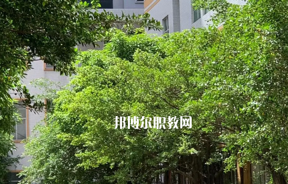 惠州惠陽財經外貿職業(yè)技術學校怎么樣、好不好