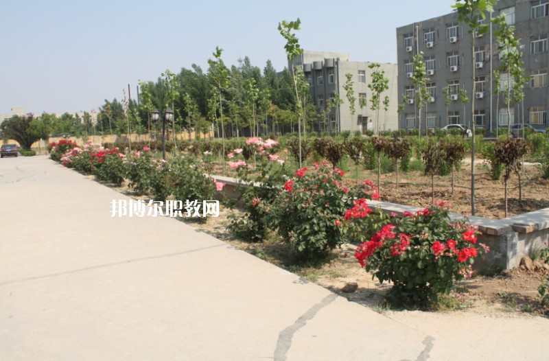 武強(qiáng)綜合職業(yè)技術(shù)教育中心2022年報(bào)名條件、招生要求、招生對(duì)象