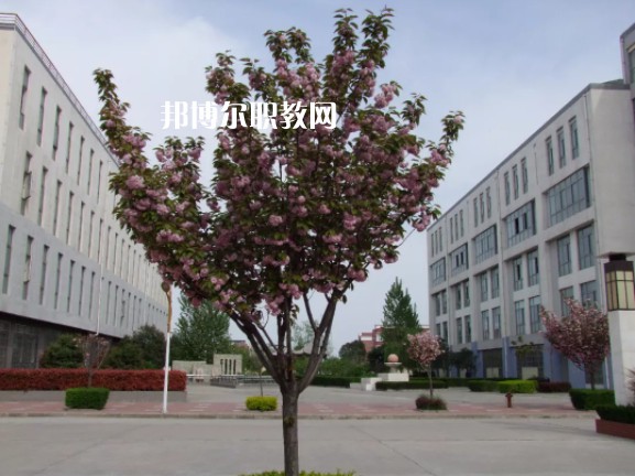 陳倉區(qū)職業(yè)教育中心2022年報名條件、招生要求、招生對象