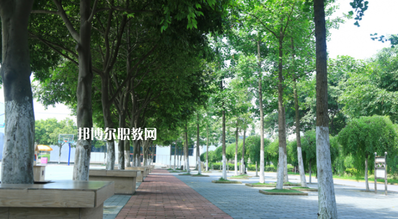大關縣職業(yè)高級中學2022年學費、收費多少
