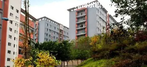 四川市綿竹職業(yè)中專學(xué)校2022年報(bào)名條件、招生要求、招生對象