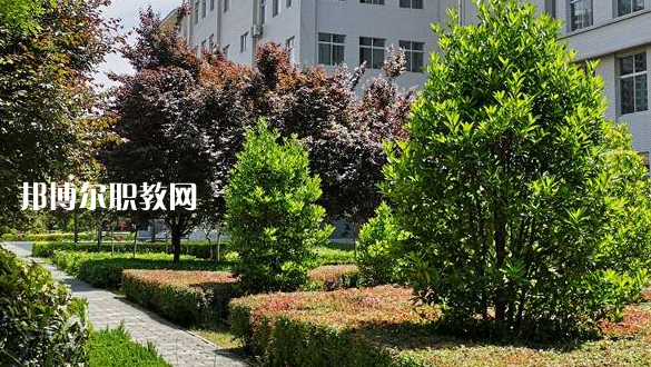2023渭南技師學(xué)院招生計(jì)劃 招生人數(shù)是多少(附要求、條件、對(duì)象)