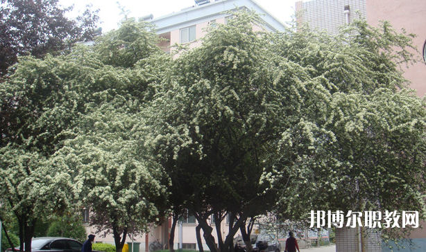 寶雞技師學(xué)院地址，乘車路線