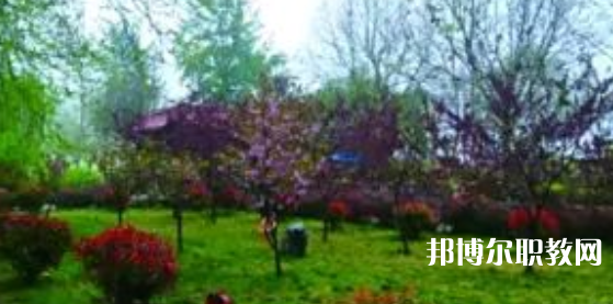 2023隆堯縣職業(yè)技術(shù)教育中心招生計(jì)劃 招生人數(shù)是多少(附要求、條件、對象)