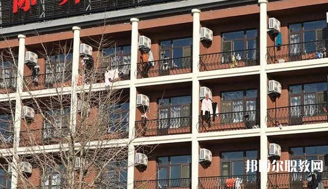 2024大連國際舞蹈學校招生計劃 招生人數(shù)是多少(附要求、條件、對象)