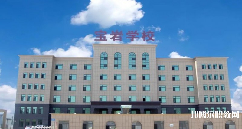 2025沈陽寶巖藝術(shù)學(xué)校招生計劃 招生人數(shù)是多少(附要求、條件、對象)