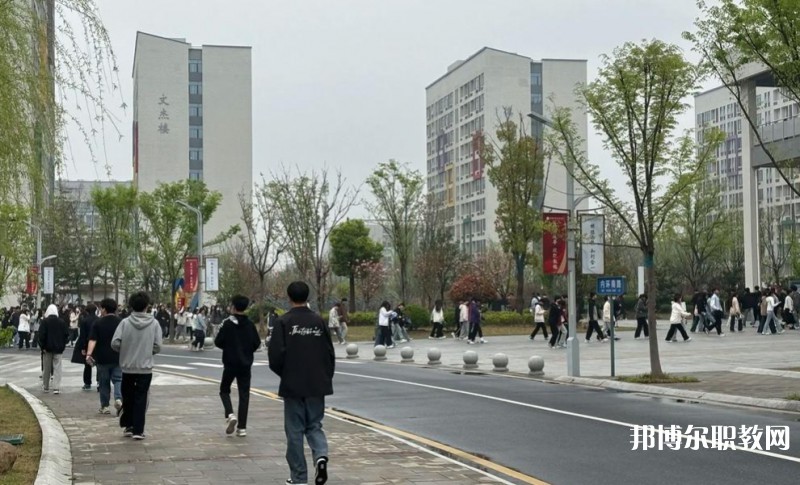 2025合肥技師學(xué)院招生計(jì)劃 招生人數(shù)是多少(附要求、條件、對(duì)象)