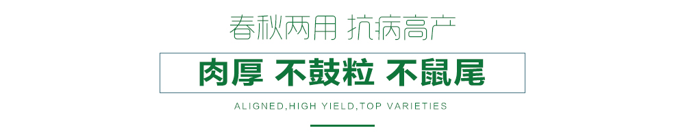 1558055781918257.jpg 詳情頁21.jpg