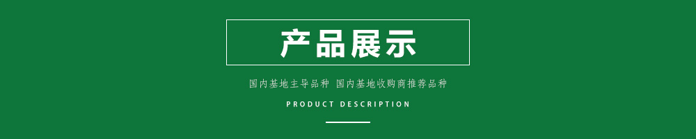 1558056245575018.jpg 00新產(chǎn)品.jpg
