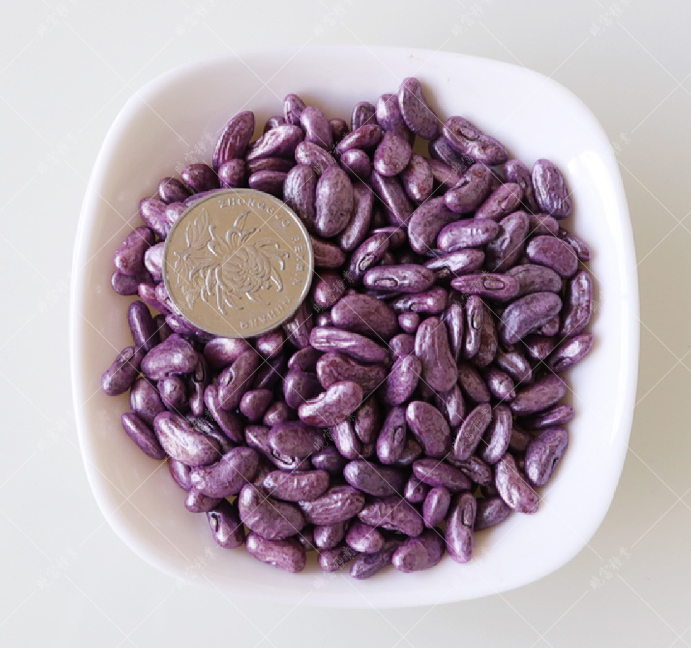 1558057893511517.jpg 500.jpg