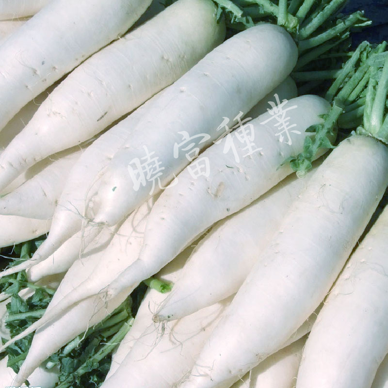 1585788846737682.jpg 02.jpg