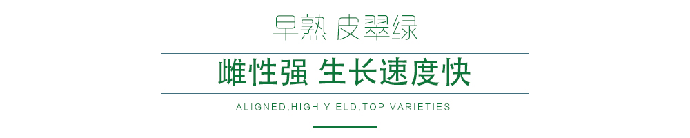 1585991890402475.jpg 03.jpg