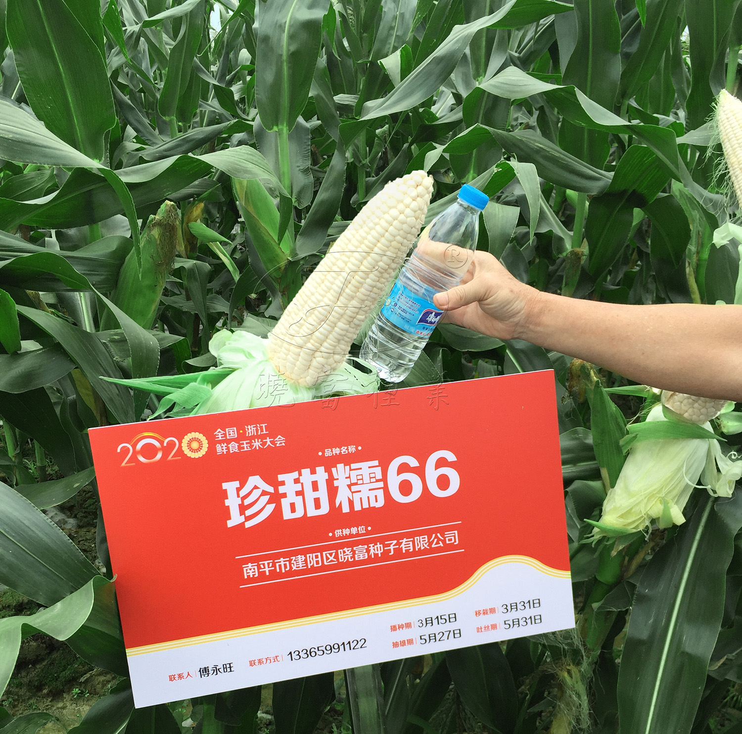 1594543022241475.jpg 3.jpg