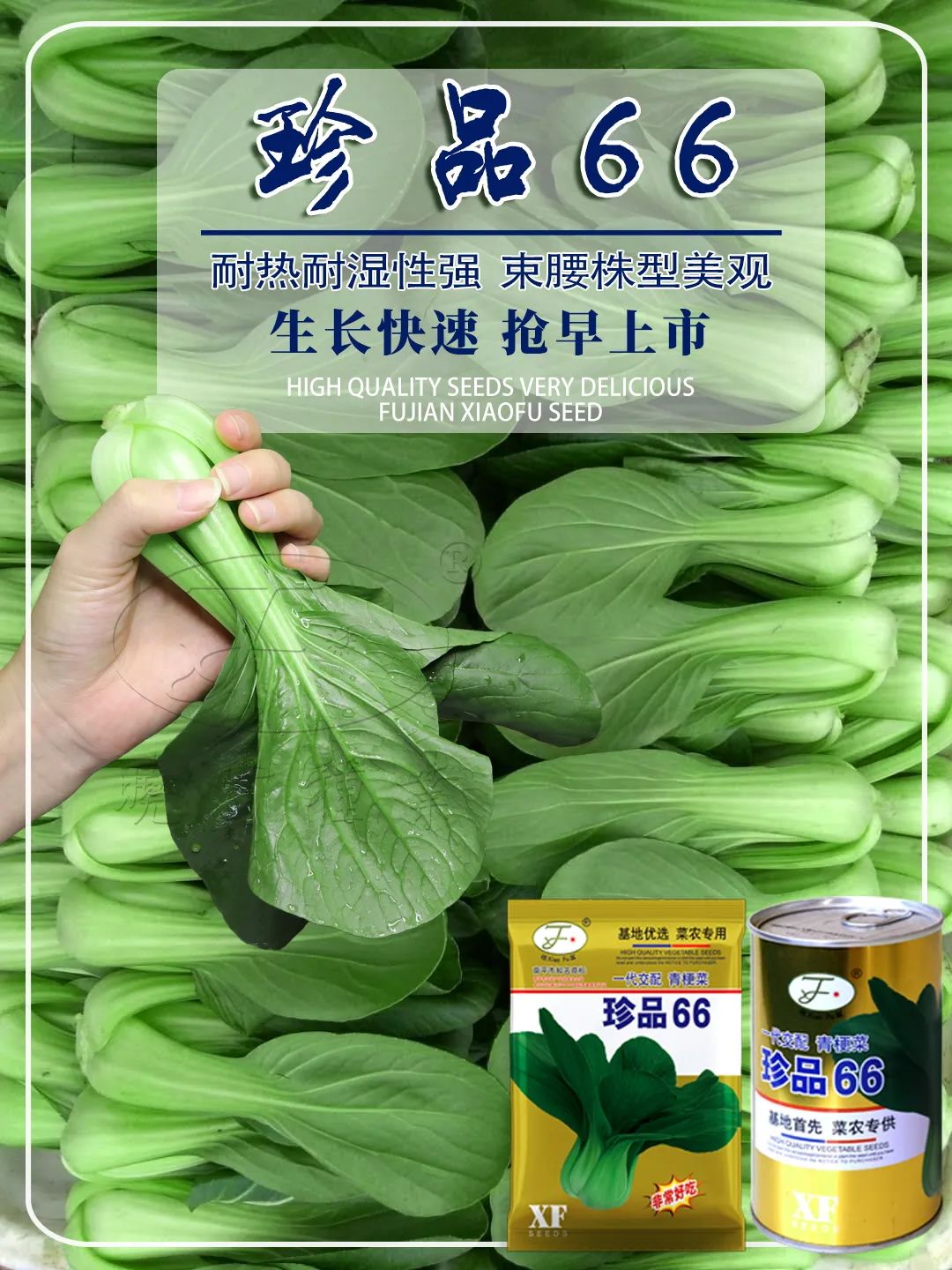 1646190535265379.jpg 07.jpg