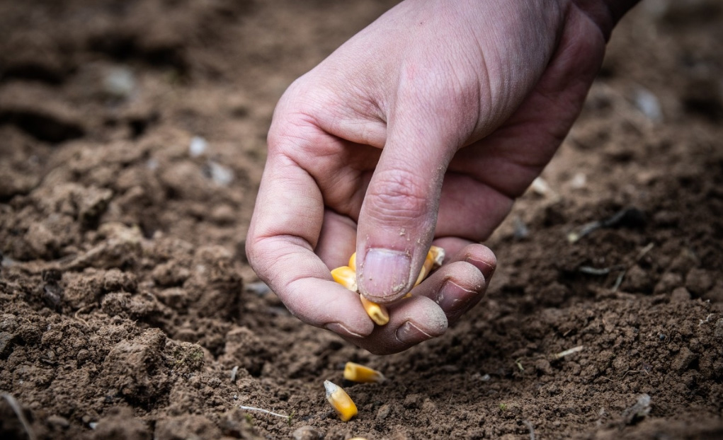 1646191112124027.jpg 02.jpg